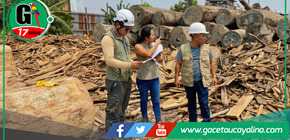 OSINFOR y los gobiernos regionales de la Amazonía colaboran para fortalecer la supervisión de los centros de transformación primaria