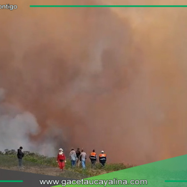 Lámud enfrenta devastación forestal: Expertos revelan desafíos y oportunidades en la recuperación post-incendios