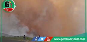 Lámud enfrenta devastación forestal: Expertos revelan desafíos y oportunidades en la recuperación post-incendios