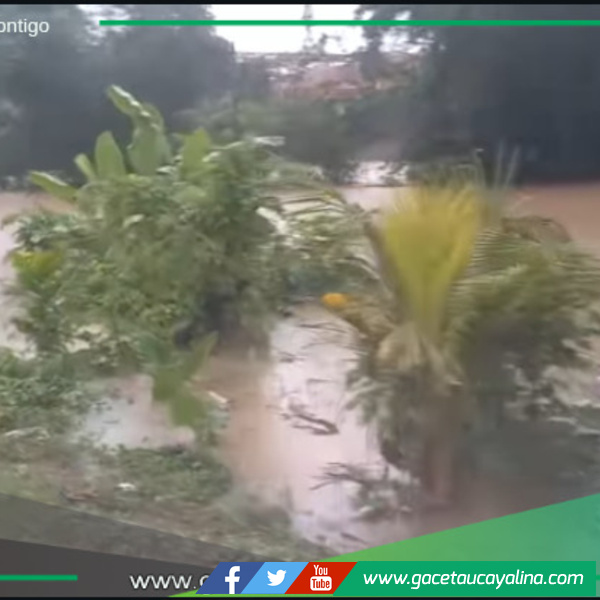 Vecinos deben tomar precauciones.
