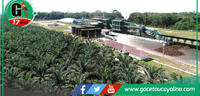 Ocho sur no tiene ningún proyecto de Palma Aceitera en CC. San Francisco