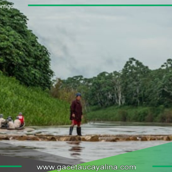 Ucayali avanza en la creación del Área de Conservación Regional Alto Tamaya-Abujao.