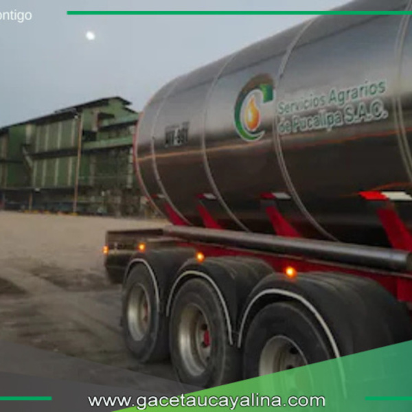 Ocho Sur apunta a China con su producción de aceite de palma.