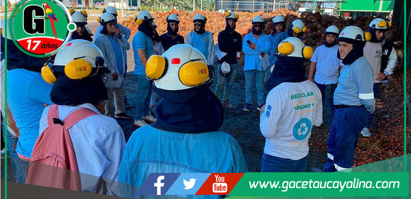 Palmicultora Ocho Sur abre sus puertas con programa de pasantías para la Academia