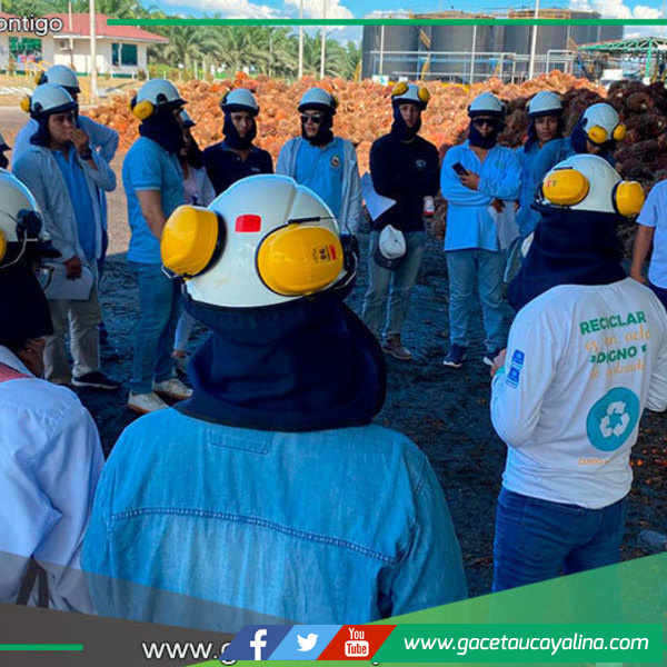 Palmicultora Ocho Sur abre sus puertas con programa de pasantías para la Academia