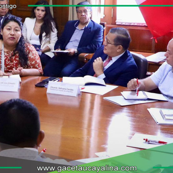 Francisco Mendoza impulsa proyectos clave ante el Congreso de la República