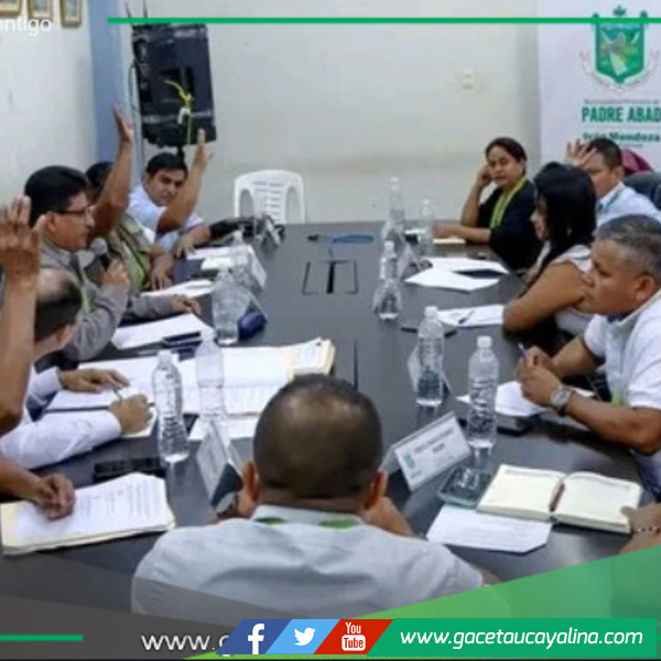 Municipalidad de Padre Abad Define Estrategias para 2025.