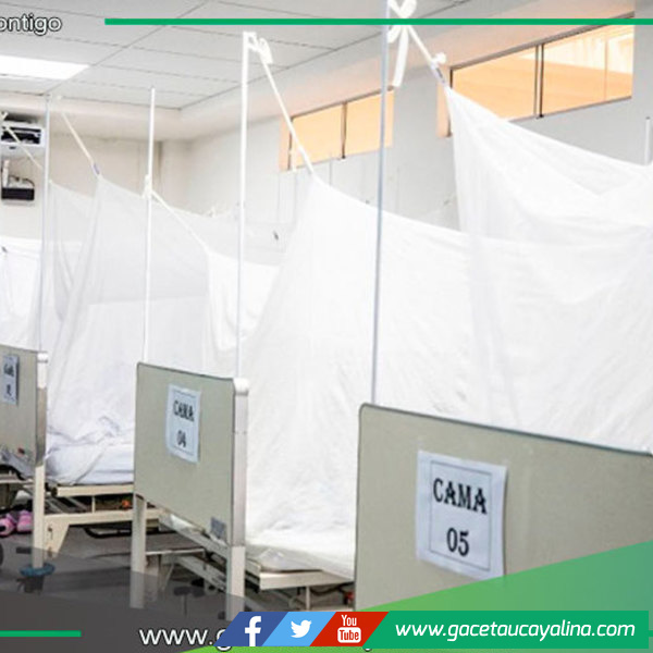 EsSalud instala camas especiales y produce repelentes naturales