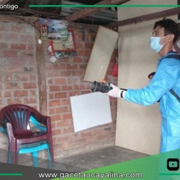 Sector de salud del Gobierno Regional de San Martin busca control y prevención del dengue atreves de actividades de fumigación. 