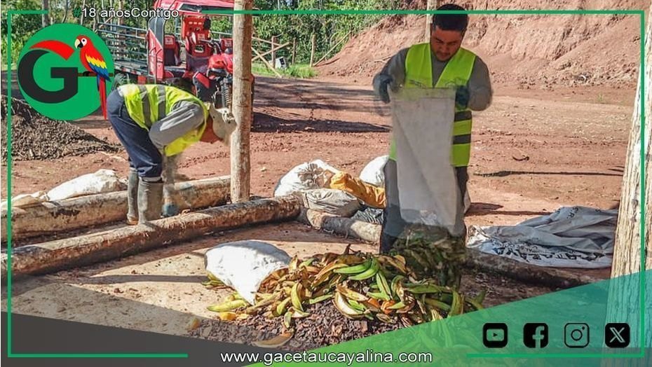Sepahua convierte residuos orgánicos en abono natural para su biohuerto
