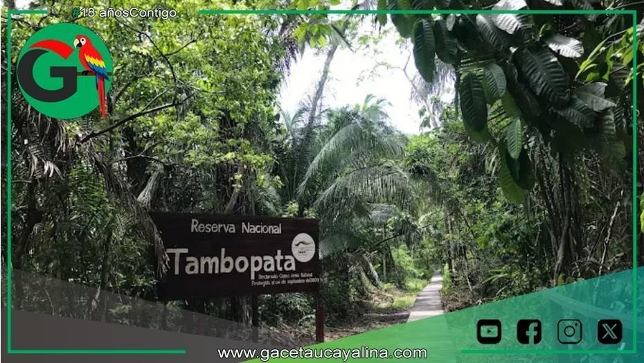 Sernanp impulsa la conservación de Tambopata con Nuevo Plan Maestro 2025-2030