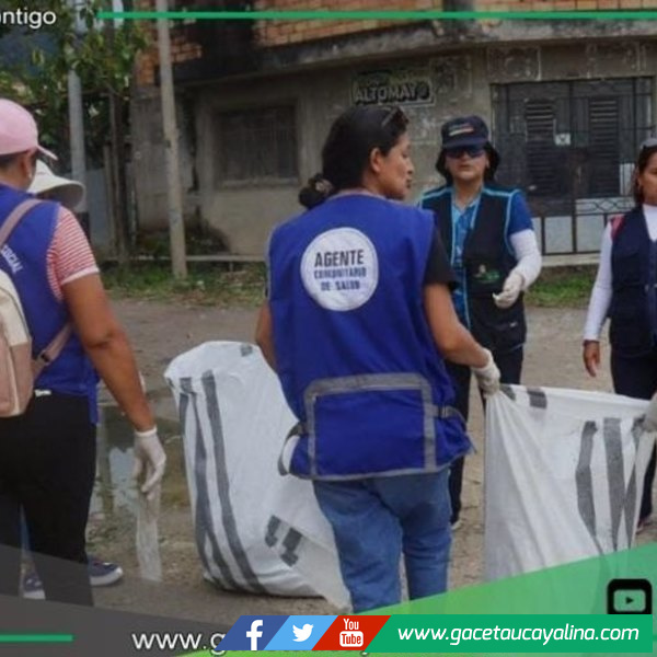 Nueva Cajamarca elimina 37 toneladas de potenciales criaderos del dengue.