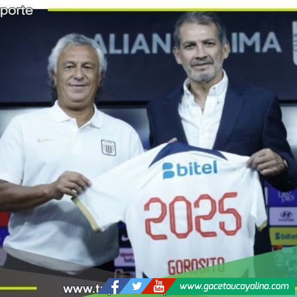 Gorosito bajo la lupa