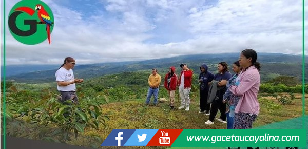 Parque de los Tahuarís transforma Lamas con ecoturismo y conservación