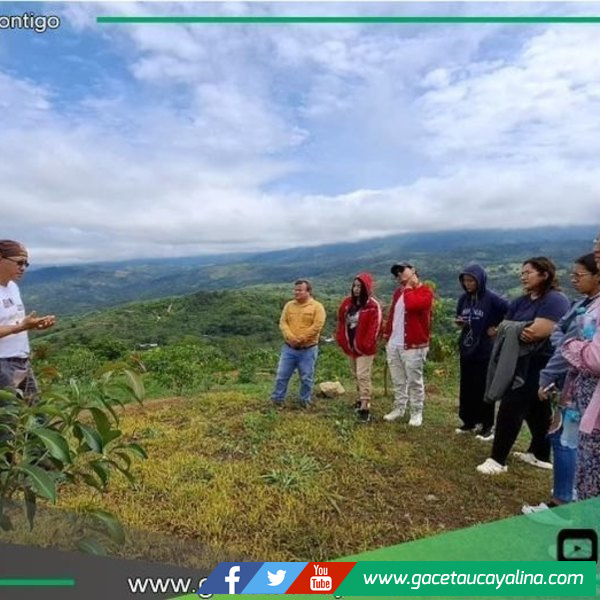 Parque de los Tahuarís transforma Lamas con ecoturismo y conservación