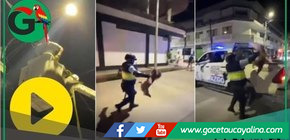 Oso perezoso es arrojado desde siete metros en Tocache, San Martín