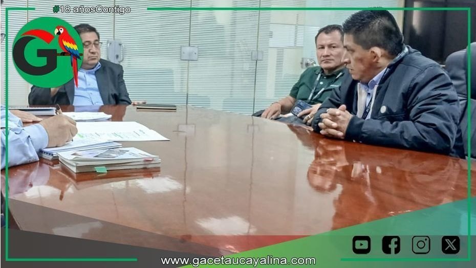 Alcalde de Sepahua impulsa moderna planta solar junto al MINEM