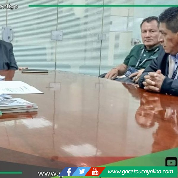 Alcalde de Sepahua impulsa moderna planta solar junto al MINEM