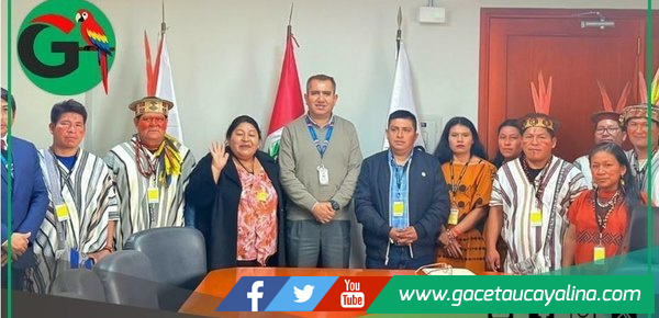 Sepahua gestiona cinco puentes para conectar comunidades del Urubamba