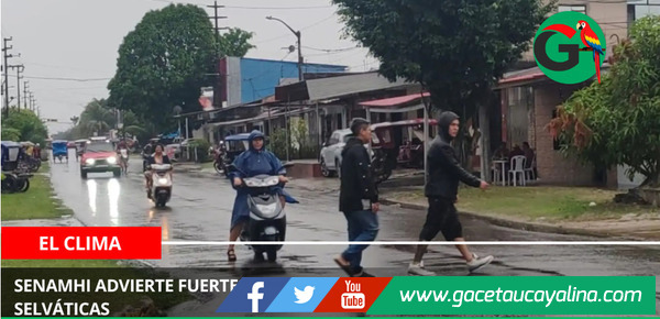 Senamhi advierte fuertes lluvias y vientos en varias regiones selváticas