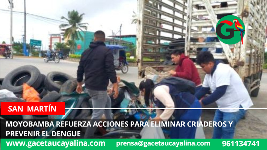 Moyobamba refuerza acciones para eliminar criaderos y prevenir el dengue