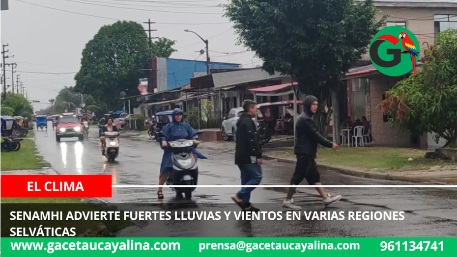 Senamhi advierte fuertes lluvias y vientos en varias regiones selváticas