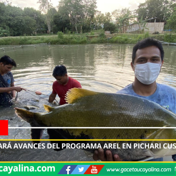 Sanipes presentará avances del programa Arel en Pichari Cusco