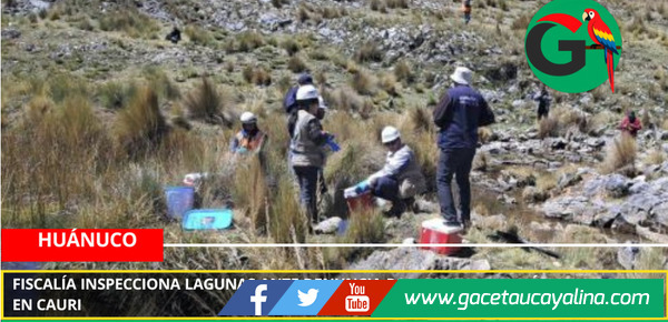Fiscalía inspecciona lagunas ante denuncia por contaminación minera en Cauri