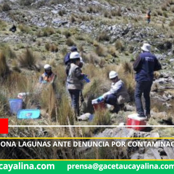 Fiscalía inspecciona lagunas ante denuncia por contaminación minera en Cauri