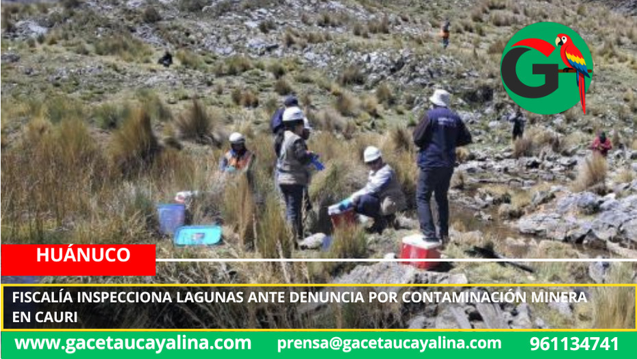 Fiscalía inspecciona lagunas ante denuncia por contaminación minera en Cauri