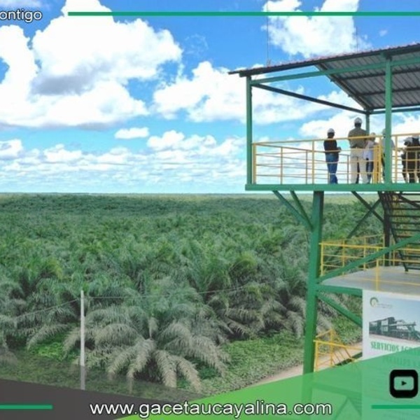 Ocho Sur reafirma su compromiso con el medioambiente y la protección del bosque