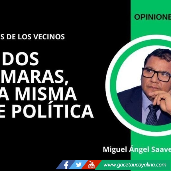Dos cámaras, una misma clase política