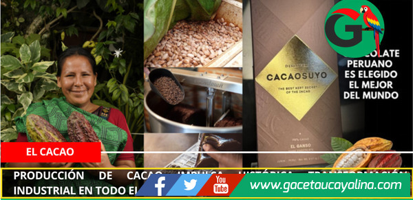 Producción de cacao impulsa histórica transformación industrial en todo el Perú
