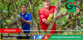 Feria internacional de cacao destacará al premiado VRAE–99 en Pichari 2025