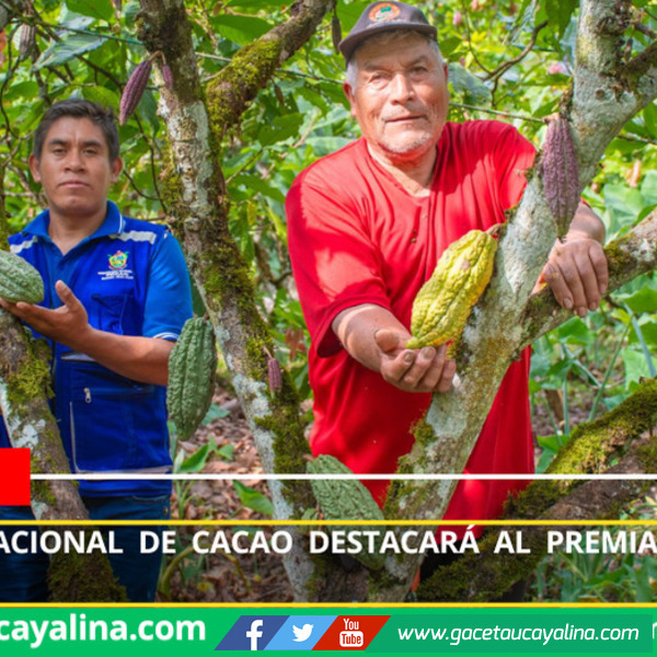 Feria internacional de cacao destacará al premiado VRAE–99 en Pichari 2025