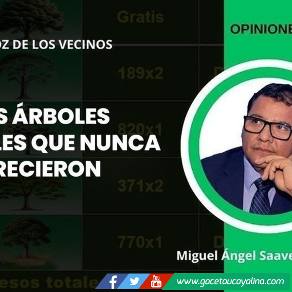 Los árboles digitales que nunca crecieron
