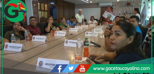 Coronel Portillo adquirirá moderno equipo para micropavimentar calles del centro