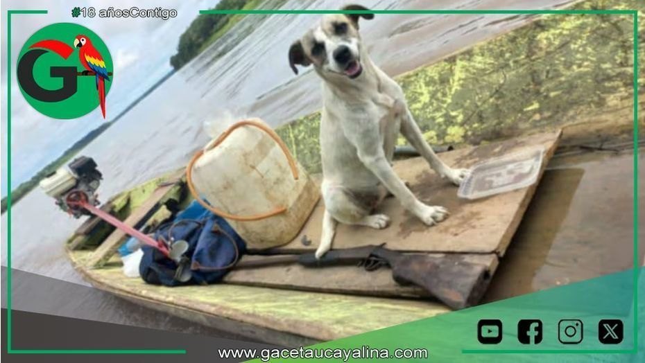 Hallan embarcación y mascota de hombre desaparecido en río Ucayali