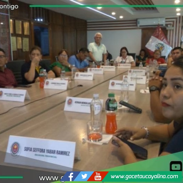 Foto: Sesión de concejo aprobando la adquicisión del equipo pavimentador