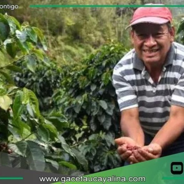 San Martín duplica exportaciones y consolida liderazgo agroexportador nacional