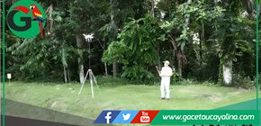Tecnología con drones revoluciona el estudio de palmeras en la Amazonía peruana