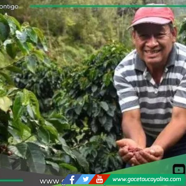 San Martín duplica exportaciones y consolida liderazgo agroexportador nacional