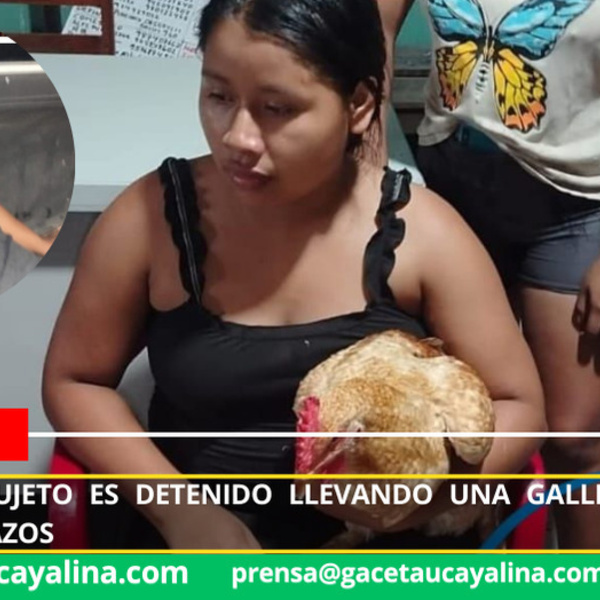 Gallina robada termina revelando a presunto ladrón en Simón Bolívar