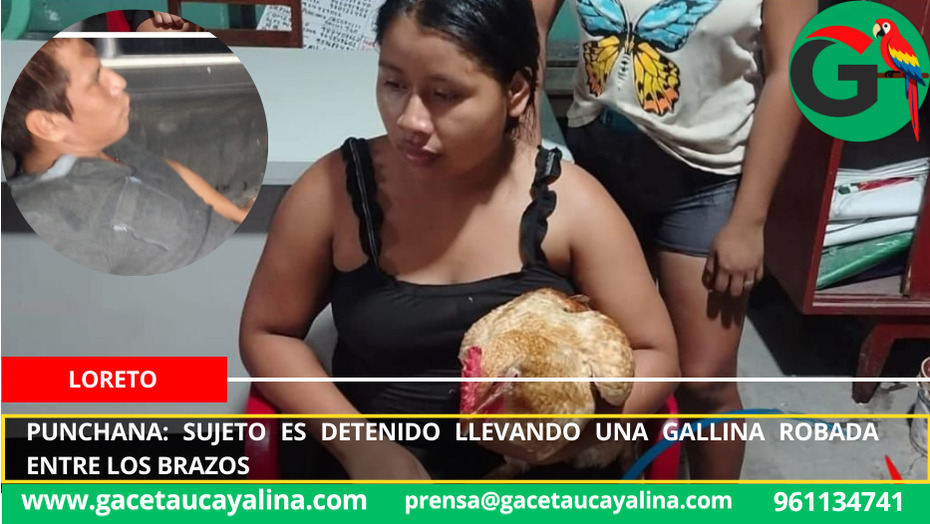 Gallina robada termina revelando a presunto ladrón en Simón Bolívar