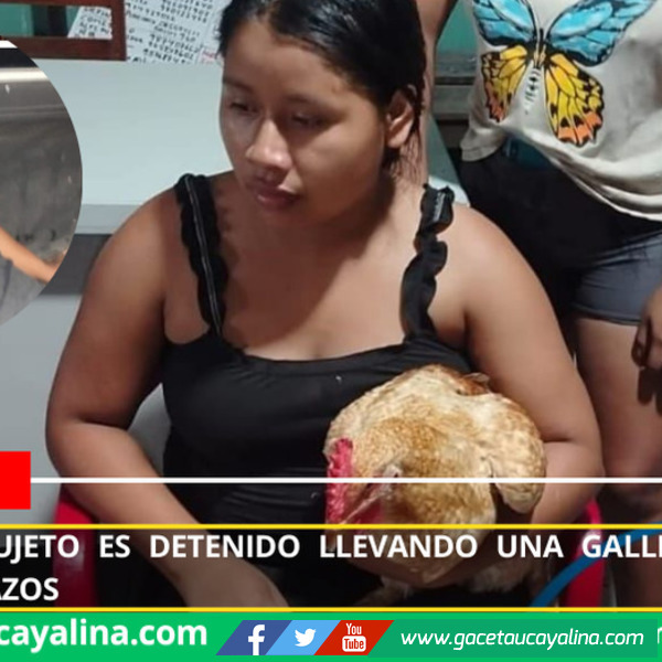 Gallina robada termina revelando a presunto ladrón en Simón Bolívar