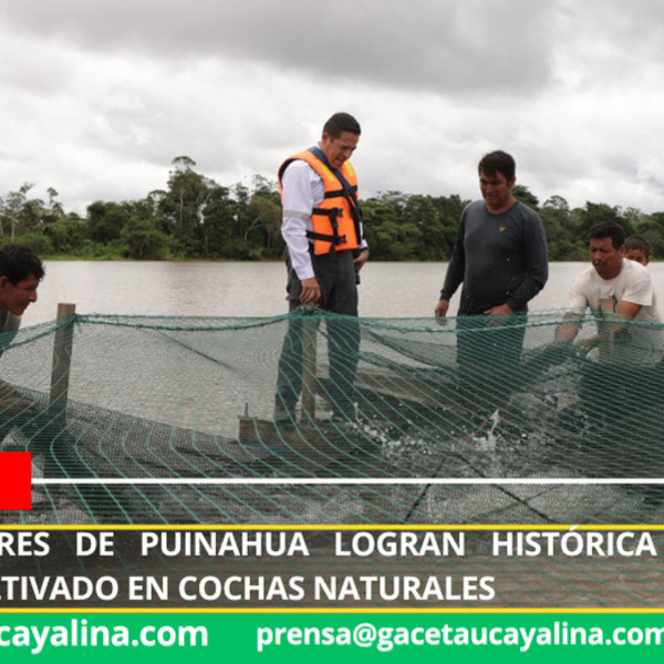 Proyecto acuícola en Puinahua impulsa producción sostenible de paiche