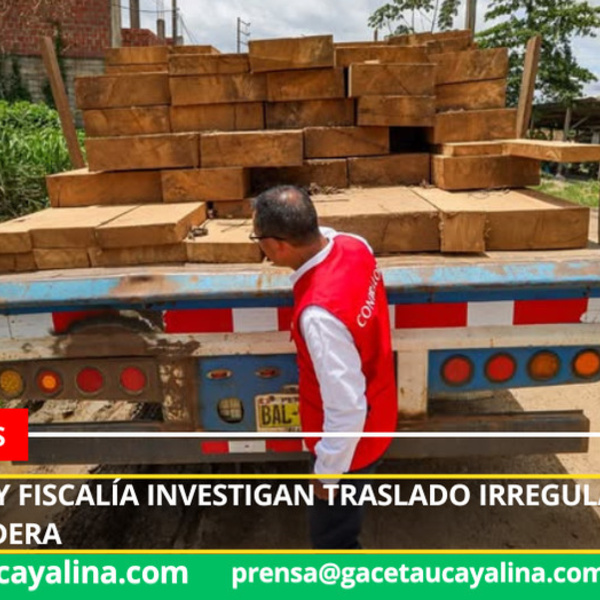 Control posterior confirma irregularidades en el aprovechamiento forestal en Madre de Dios