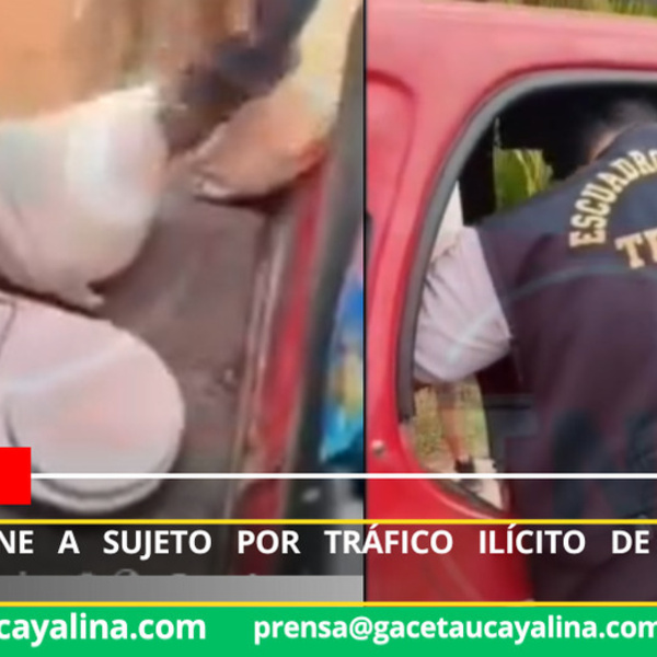 Operativo del Grupo Terna permite incautar PBC y detener a presunto implicado en TID