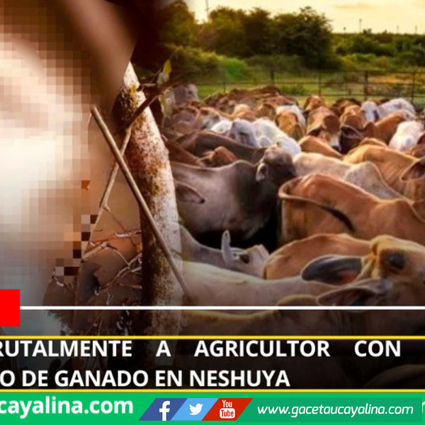 Foto: Redes Sociales