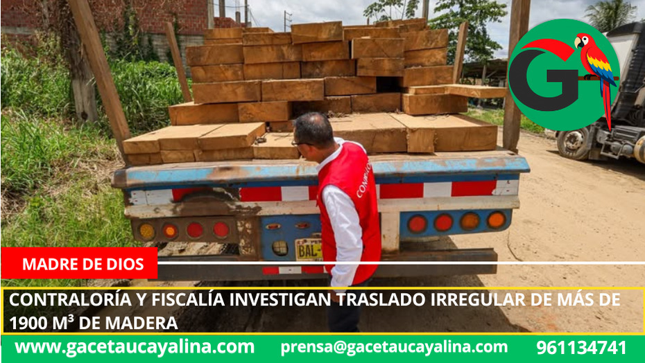 Control posterior confirma irregularidades en el aprovechamiento forestal en Madre de Dios